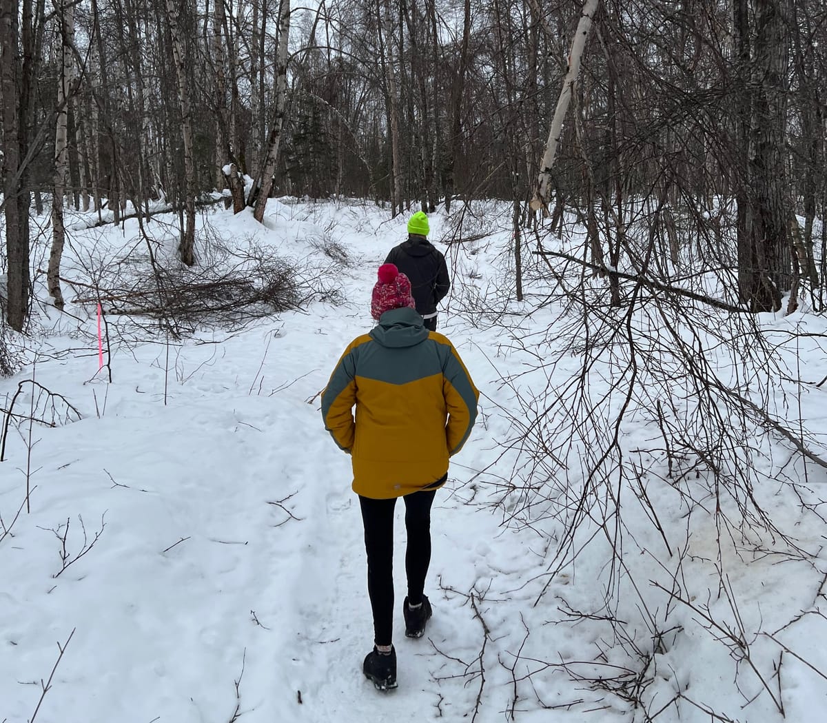 My wife Chris and I walking through a snowy shortcut to downtown Talkeetna through the woods near Jeffry's house.