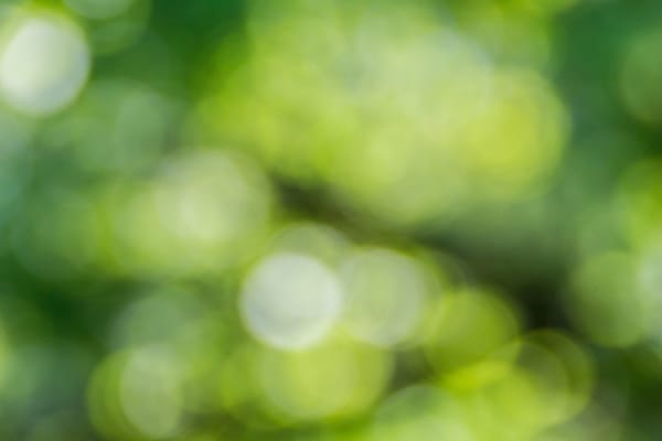 blurry green dots on black background
