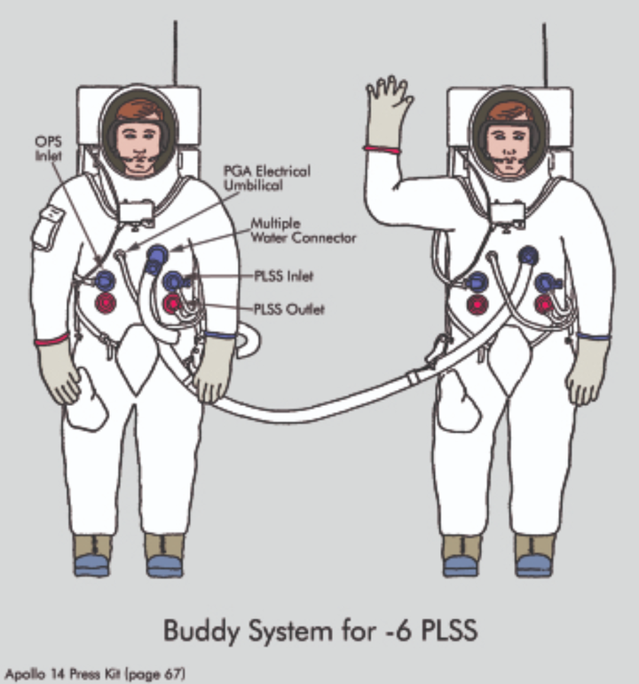 Remotely Agile: The Buddy System